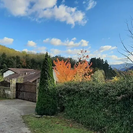 Modern Rustic House * Areatza
