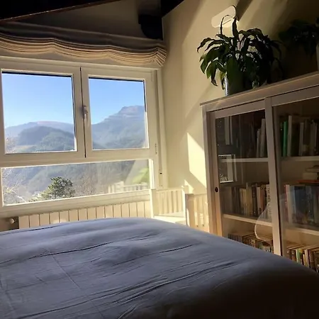 Modern Rustic House