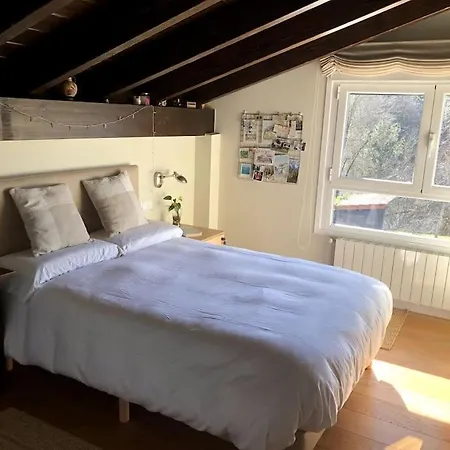 Modern Rustic House Hotel *